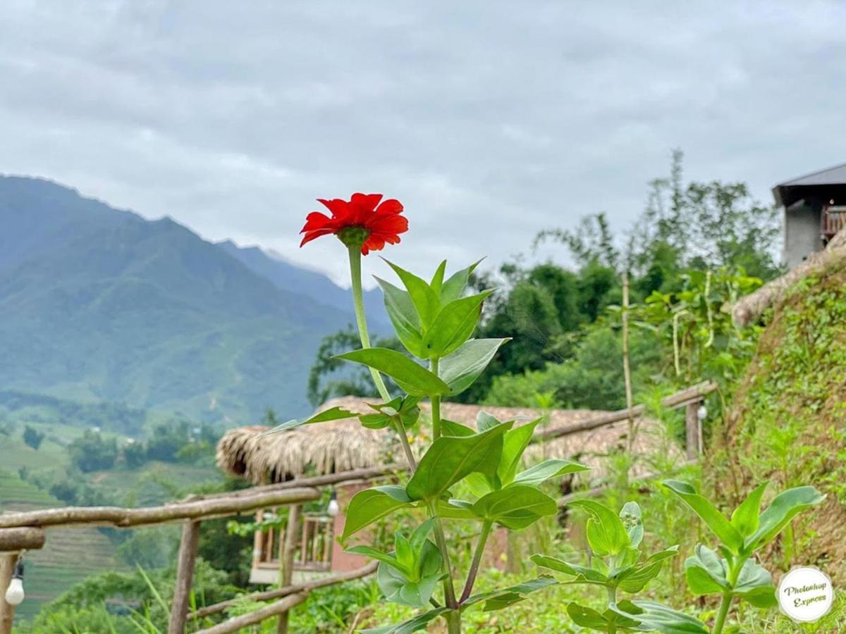 Chapa Farmstay - Mountain Retreat Sa Pa Eksteriør bilde
