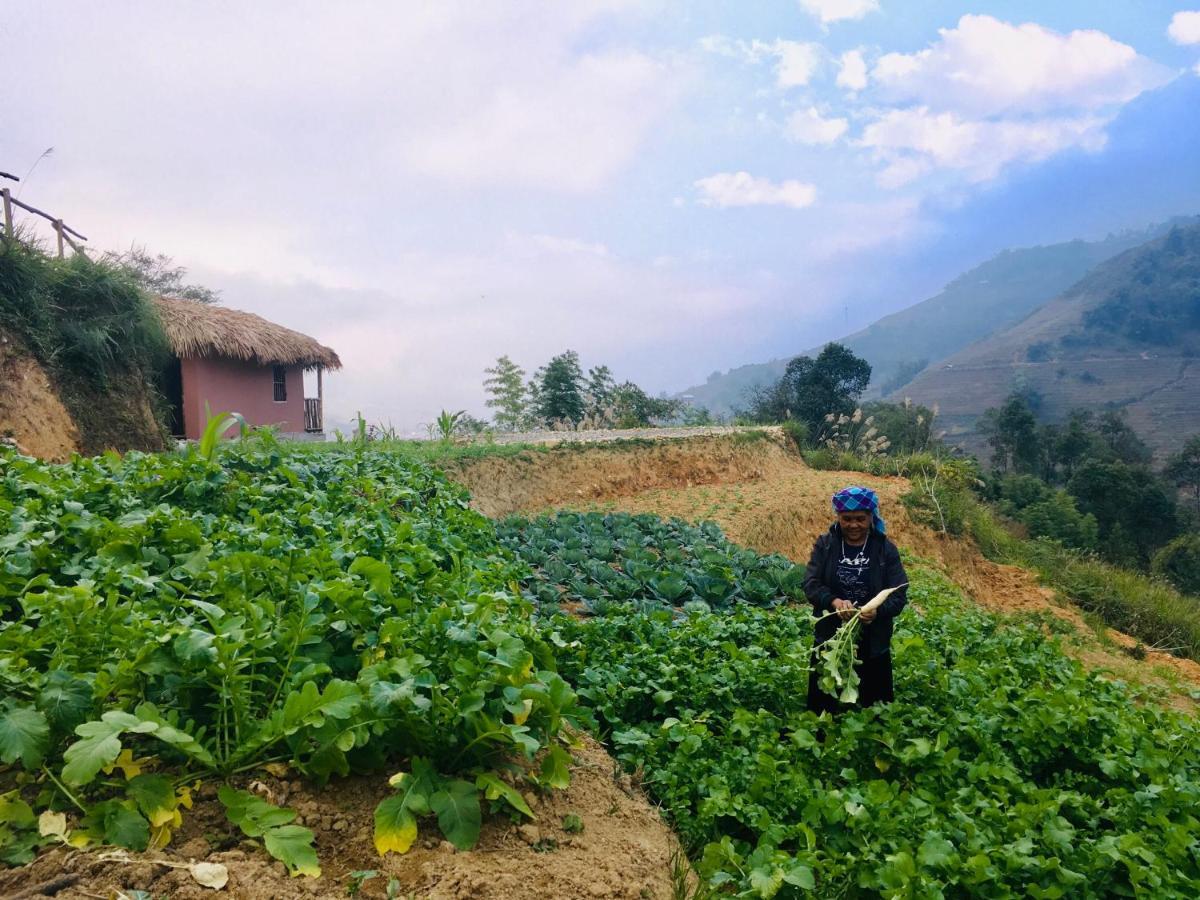 Chapa Farmstay - Mountain Retreat Sa Pa Eksteriør bilde